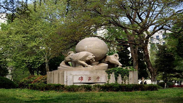 中国科学技术大学花草